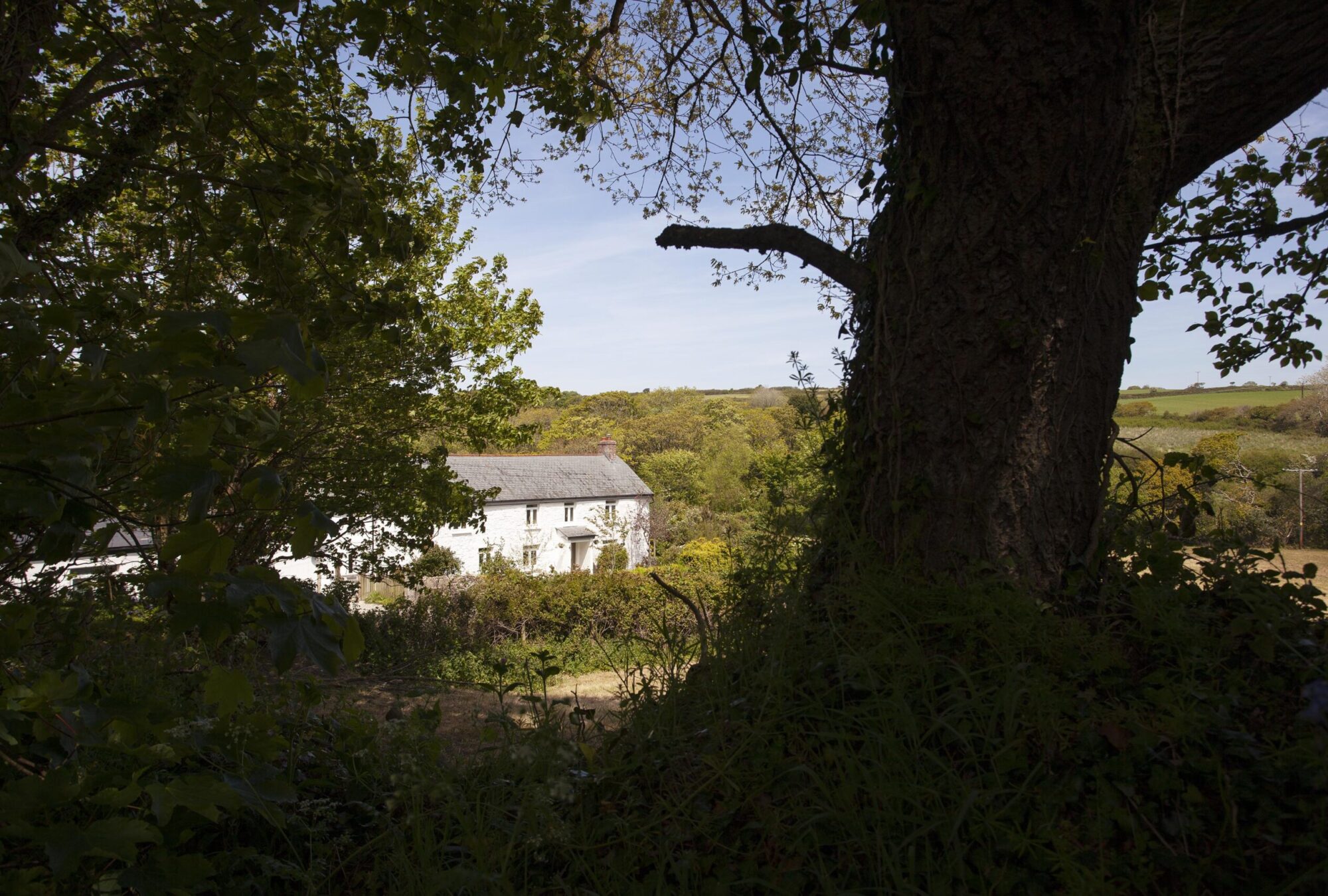 Mellangoose Mill - countryside cottage
