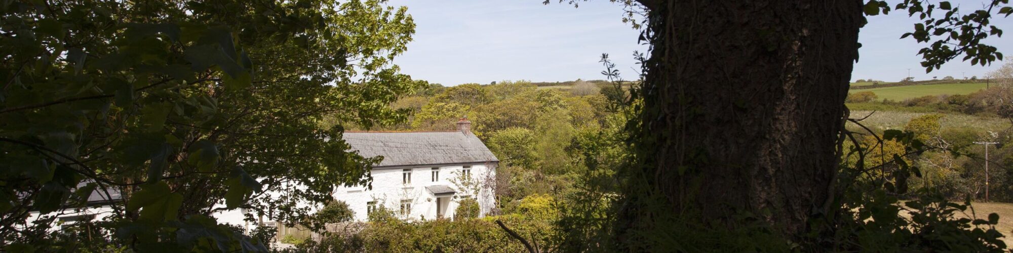 Mellangoose Mill - countryside cottage