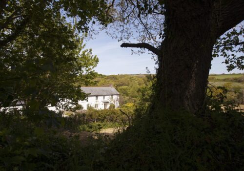 Mellangoose Mill - countryside cottage