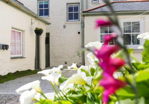 Trenance, Porthleven - Interiors