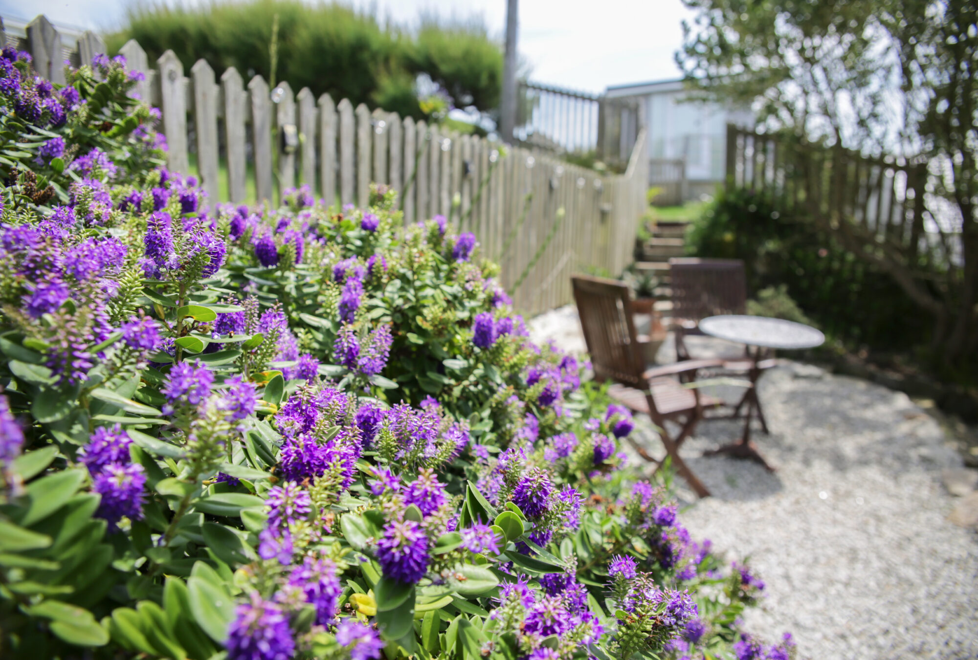 Trigg Cottage, Porthleven - interiors