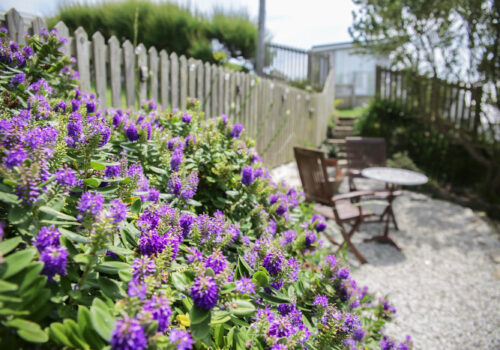 Trigg Cottage, Porthleven - interiors