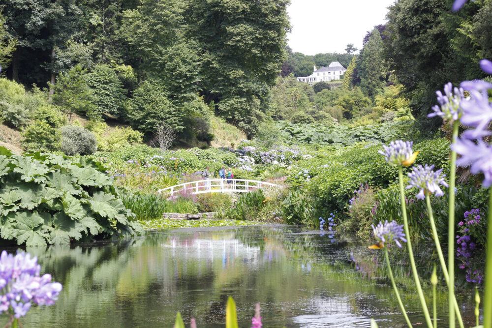 Trebah Gardens, near Falmouth