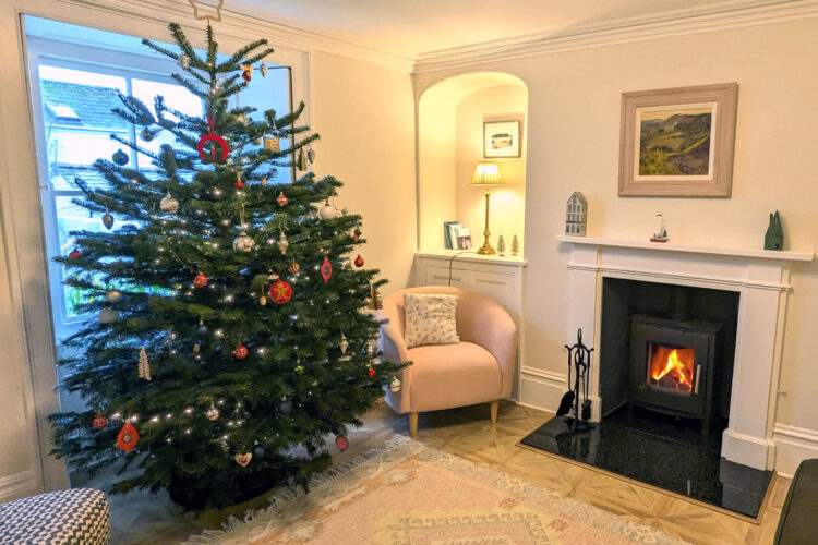 Christmas living room