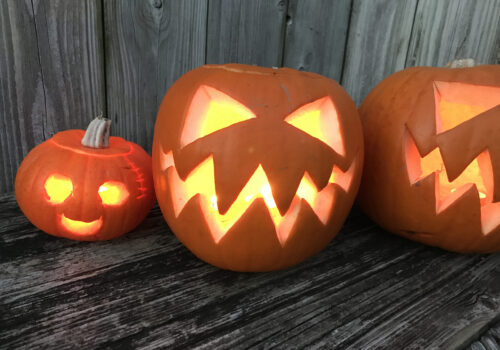 Autumn pumpkins