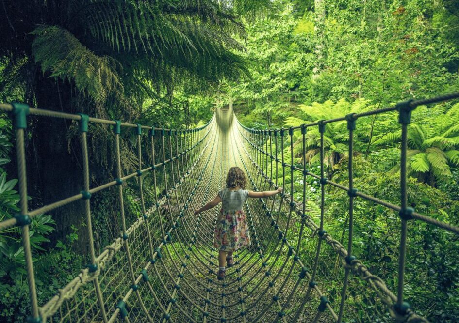 Lost Gardens of Heligan, promo picture