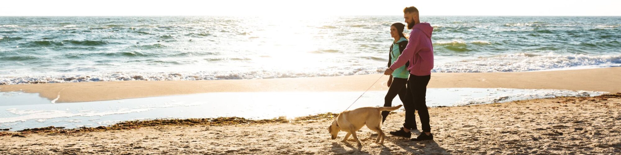 walking on the beach with dog