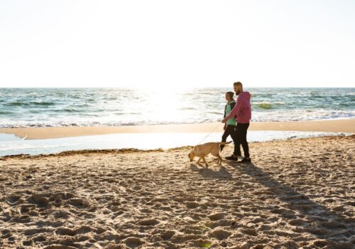 walking on the beach with dog