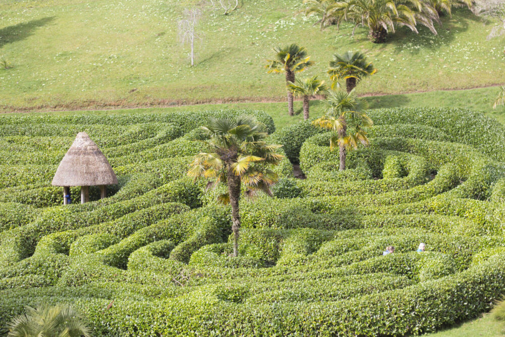 Glendurgan Gardens - Maze