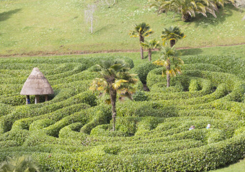 Glendurgan Gardens - Maze