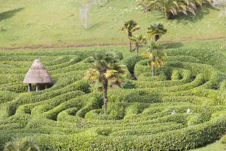 Glendurgan Gardens - Maze