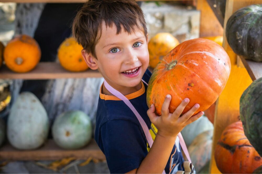 Boy with pumpkin - Autumn, halloween, october half term