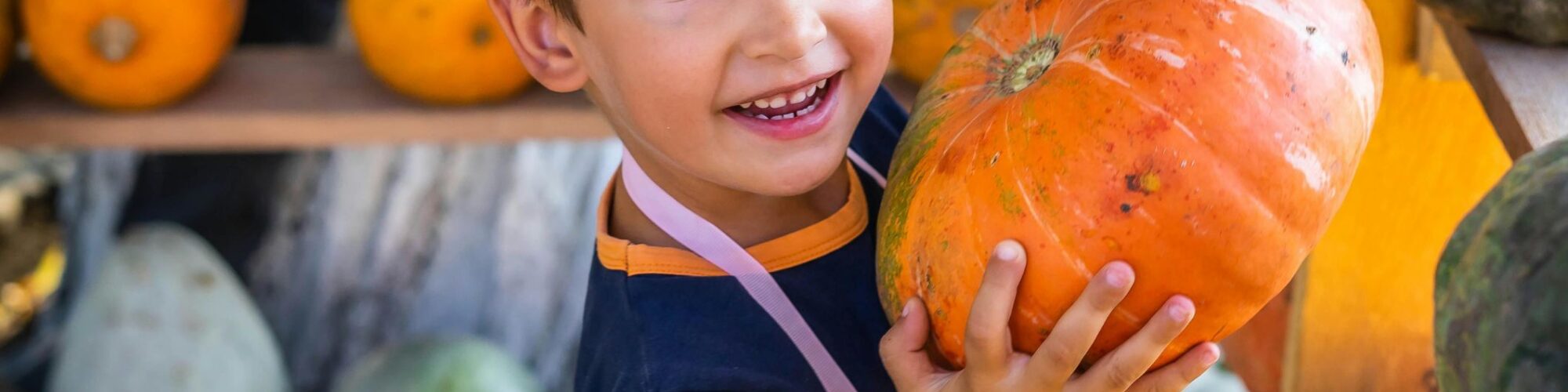 Boy with pumpkin - Autumn, halloween, october half term