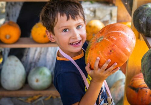 Boy with pumpkin - Autumn, halloween, october half term