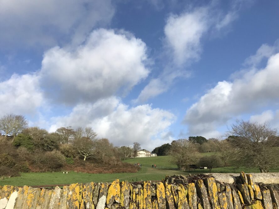 Trelissick gardens